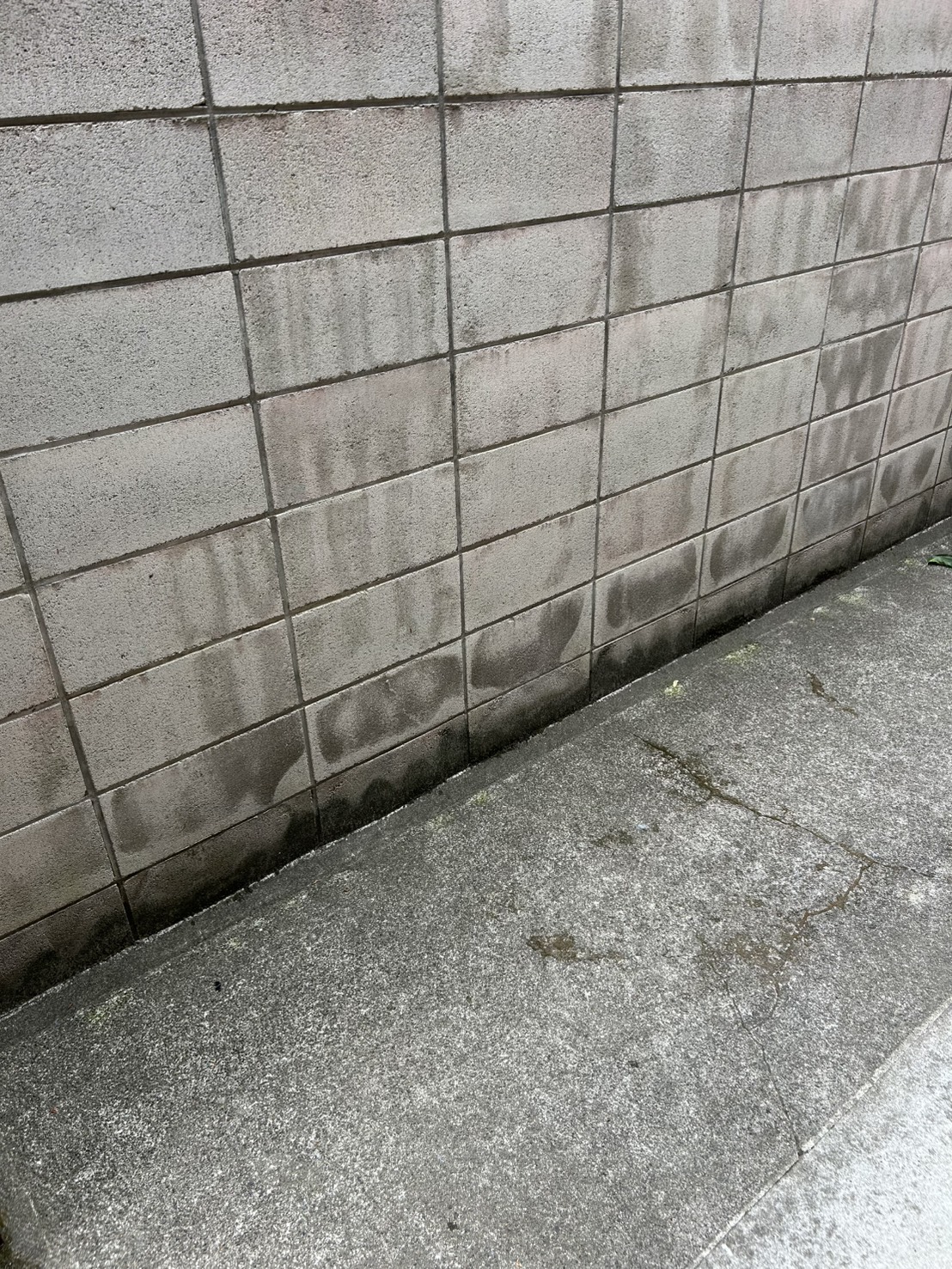 作業後の写真 