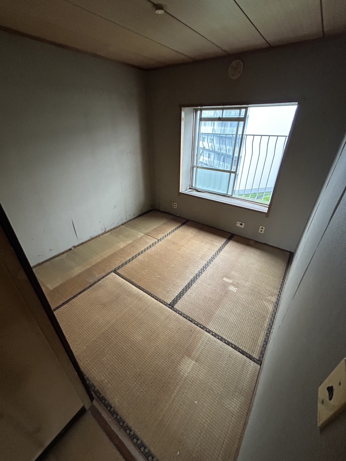 作業後の写真 